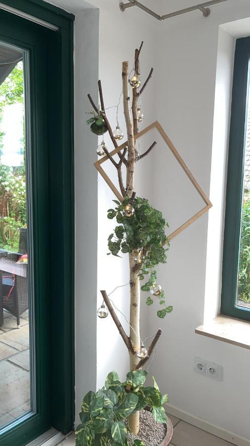 Appartement Spitzenbergblick à Reichensachsen Extérieur photo